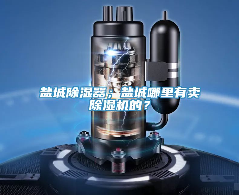 鹽城除濕器；鹽城哪里有賣除濕機(jī)的？
