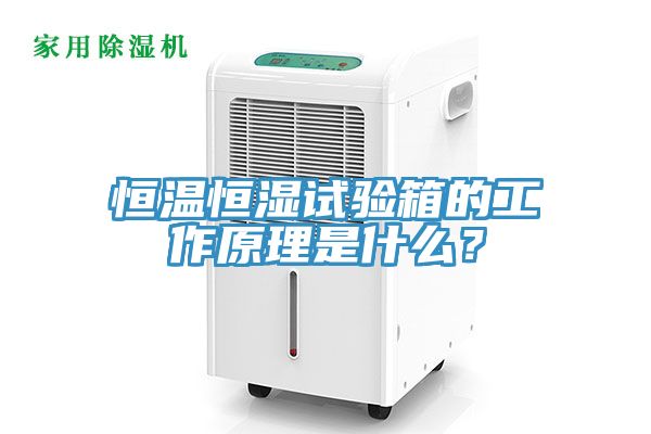 恒溫恒濕試驗(yàn)箱的工作原理是什么？