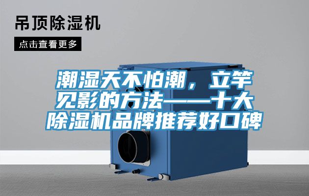 潮濕天不怕潮，立竿見影的方法——十大除濕機(jī)品牌推薦好口碑