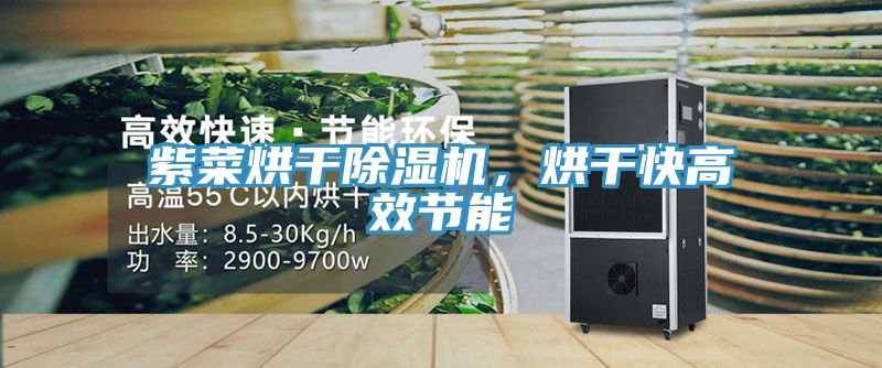 紫菜烘干除濕機，烘干快高效節(jié)能