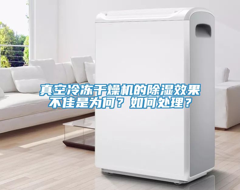 真空冷凍干燥機的除濕效果不佳是為何？如何處理？