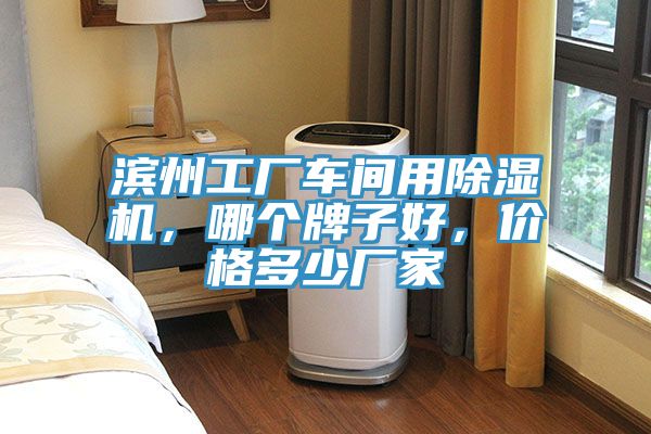 濱州工廠車間用除濕機，哪個牌子好，價格多少廠家