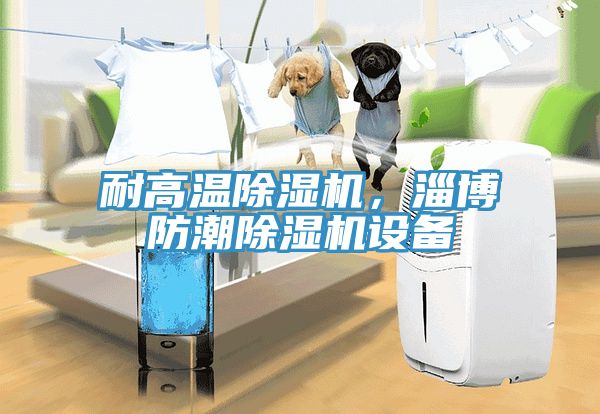 耐高溫除濕機(jī)，淄博防潮除濕機(jī)設(shè)備