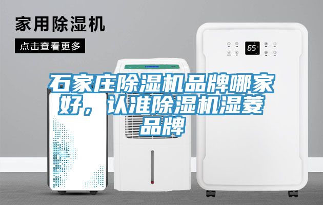 石家莊除濕機(jī)品牌哪家好，認(rèn)準(zhǔn)除濕機(jī)濕菱品牌