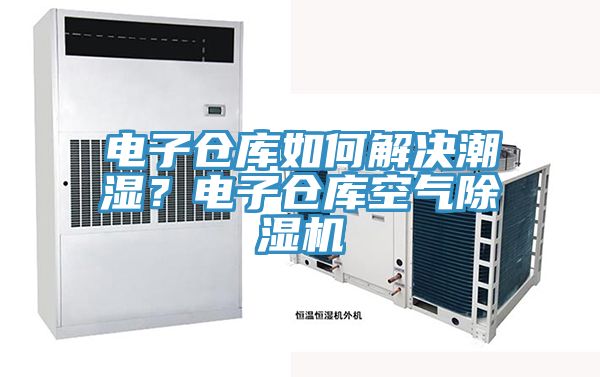 電子倉(cāng)庫(kù)如何解決潮濕？電子倉(cāng)庫(kù)空氣除濕機(jī)