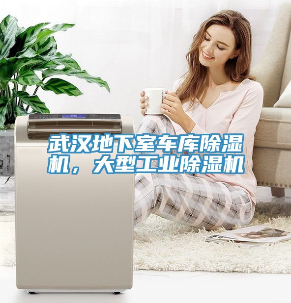 武漢地下室車庫除濕機，大型工業(yè)除濕機