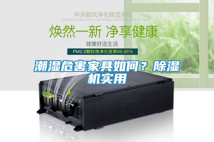 潮濕危害家具如何？除濕機(jī)實(shí)用
