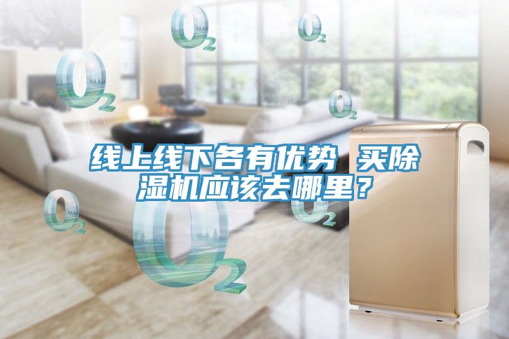 線上線下各有優(yōu)勢 買除濕機應該去哪里？