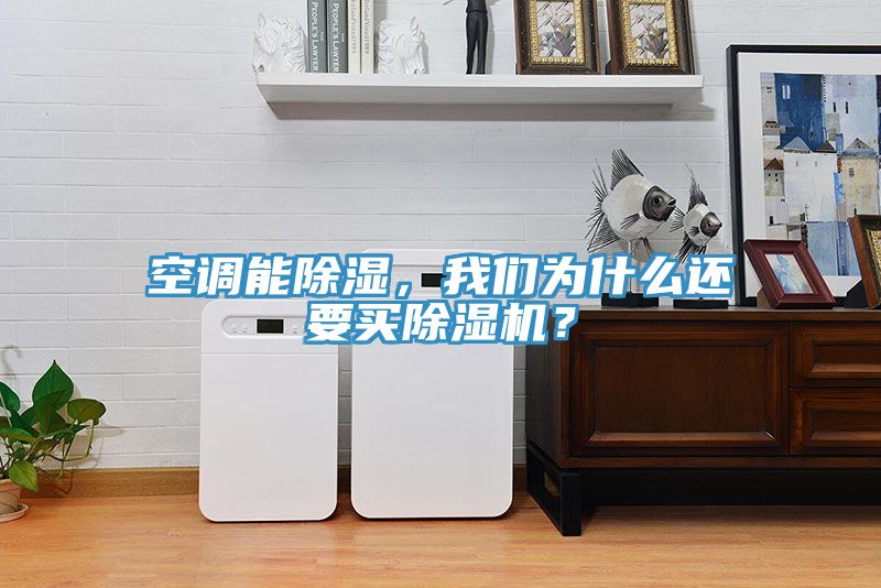 空調(diào)能除濕，我們?yōu)槭裁催€要買除濕機(jī)？