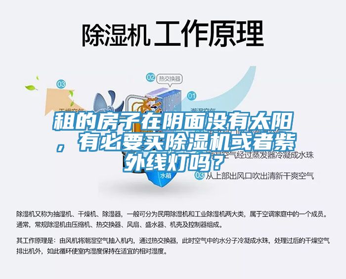 租的房子在陰面沒有太陽，有必要買除濕機或者紫外線燈嗎？
