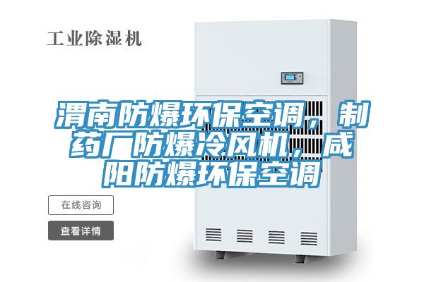渭南防爆環(huán)?？照{(diào)，制藥廠防爆冷風機，咸陽防爆環(huán)?？照{(diào)