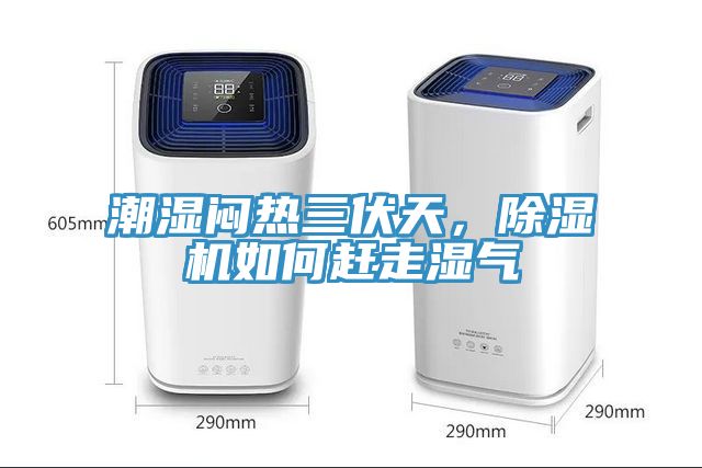 潮濕悶熱三伏天，除濕機(jī)如何趕走濕氣