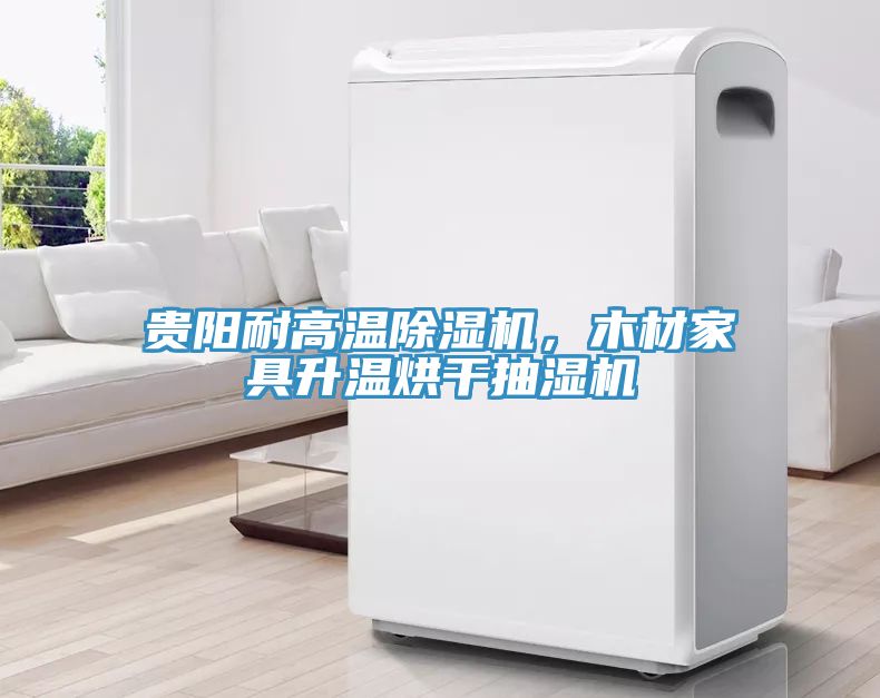 貴陽耐高溫除濕機，木材家具升溫烘干抽濕機