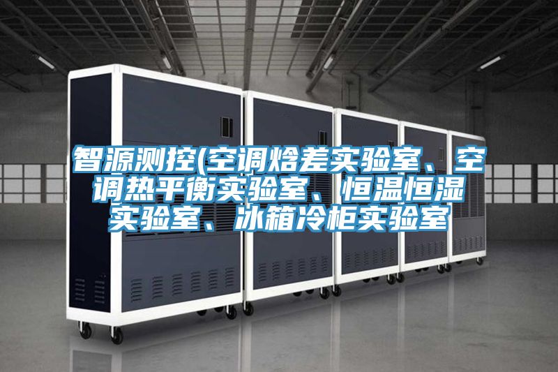 智源測控(空調焓差實驗室、空調熱平衡實驗室、恒溫恒濕實驗室、冰箱冷柜實驗室