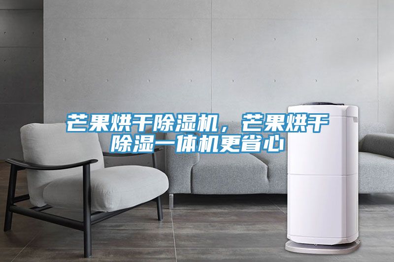 芒果烘干除濕機(jī)，芒果烘干除濕一體機(jī)更省心
