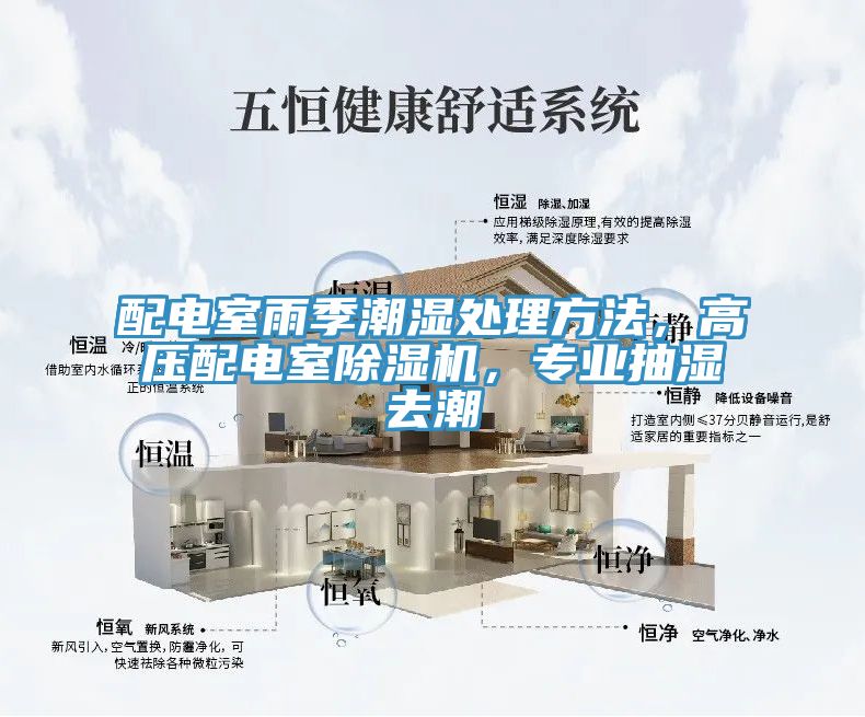 配電室雨季潮濕處理方法，高壓配電室除濕機(jī)，專業(yè)抽濕去潮