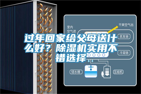 過年回家給父母送什么好？除濕機(jī)實(shí)用不錯選擇