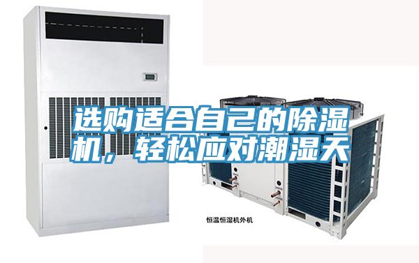 選購適合自己的除濕機(jī)，輕松應(yīng)對(duì)潮濕天