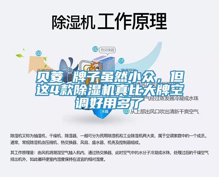 貝菱 牌子雖然小眾，但這4款除濕機(jī)真比大牌空調(diào)好用多了