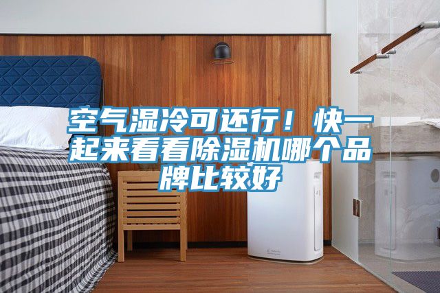 空氣濕冷可還行！快一起來看看除濕機(jī)哪個(gè)品牌比較好