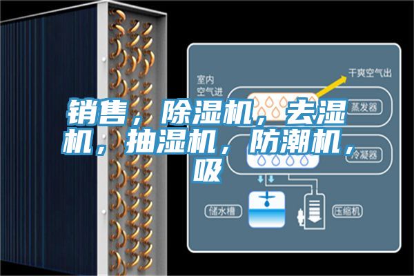 銷售，除濕機(jī)，去濕機(jī)，抽濕機(jī)，防潮機(jī)，吸