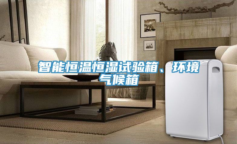 智能恒溫恒濕試驗(yàn)箱、環(huán)境氣候箱