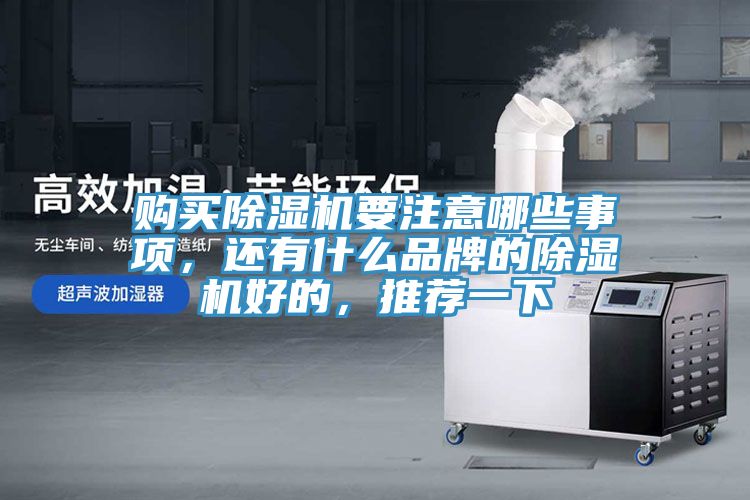 購買除濕機(jī)要注意哪些事項(xiàng)，還有什么品牌的除濕機(jī)好的，推薦一下