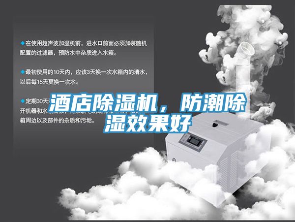 酒店除濕機(jī)，防潮除濕效果好