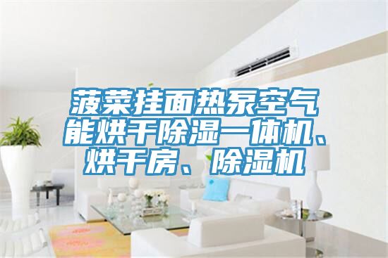 菠菜掛面熱泵空氣能烘干除濕一體機、烘干房、除濕機
