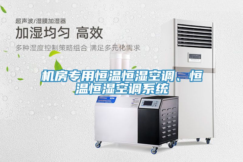 機(jī)房專用恒溫恒濕空調(diào)、恒溫恒濕空調(diào)系統(tǒng)