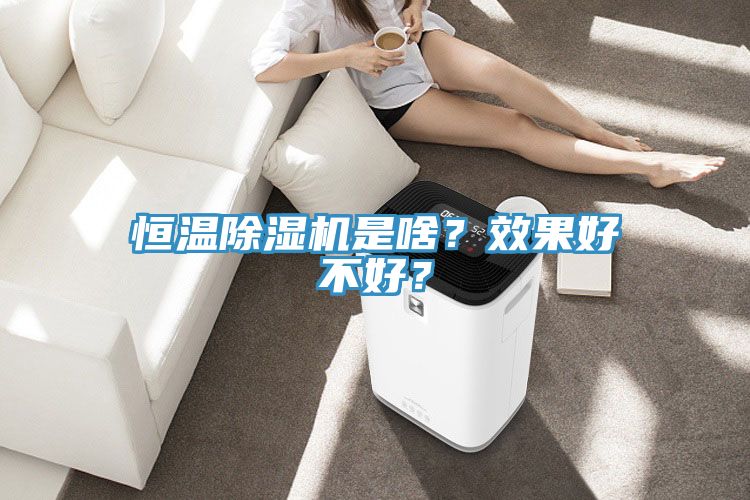 恒溫除濕機(jī)是啥？效果好不好？