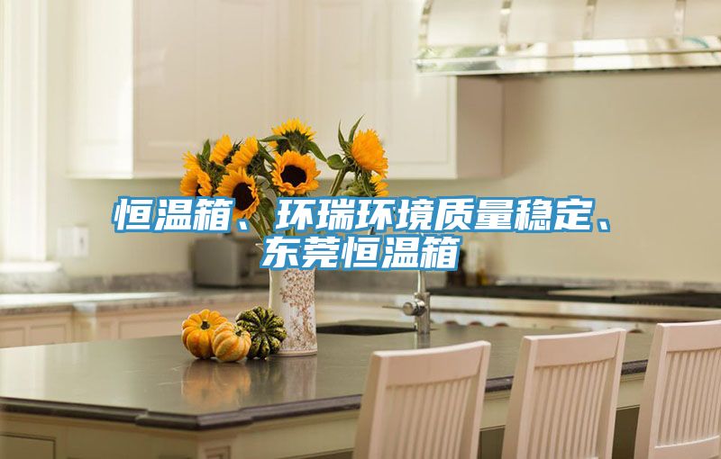 恒溫箱、環(huán)瑞環(huán)境質量穩(wěn)定、東莞恒溫箱