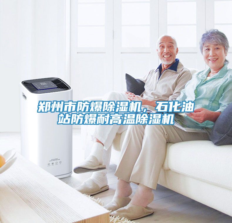 鄭州市防爆除濕機(jī)，石化油站防爆耐高溫除濕機(jī)