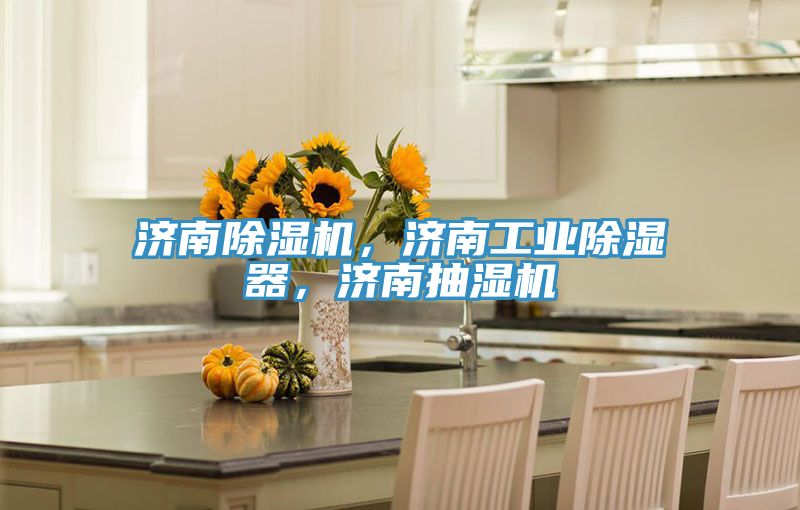 濟南除濕機，濟南工業(yè)除濕器，濟南抽濕機