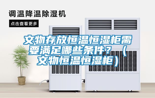 文物存放恒溫恒濕柜需要滿足哪些條件？（文物恒溫恒濕柜）