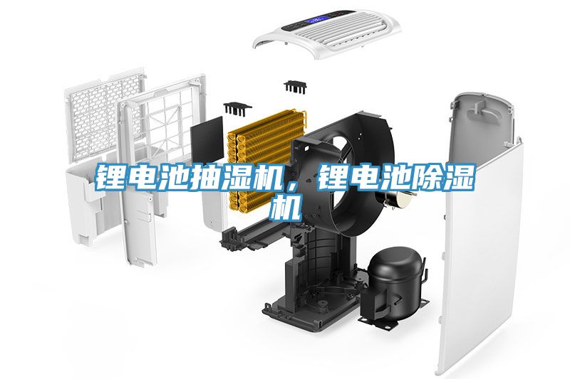 鋰電池抽濕機(jī)，鋰電池除濕機(jī)