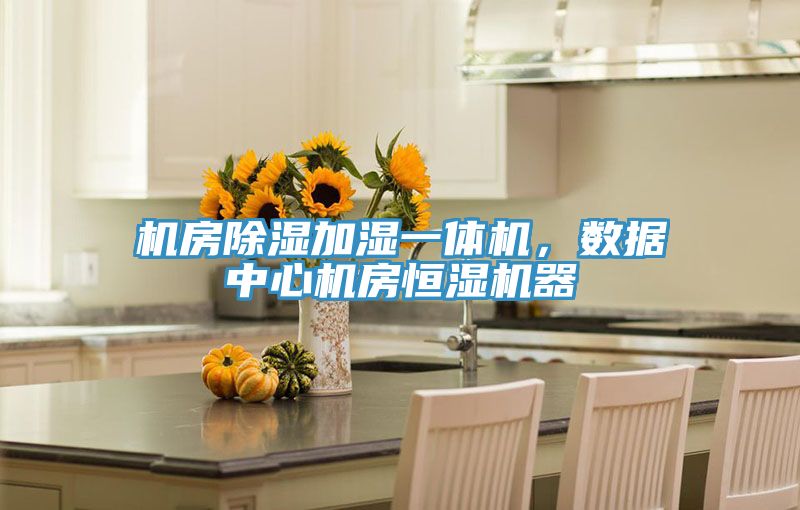 機(jī)房除濕加濕一體機(jī)，數(shù)據(jù)中心機(jī)房恒濕機(jī)器