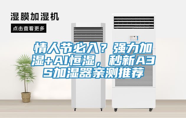 情人節(jié)必入？強(qiáng)力加濕+AI恒濕，秒新A3S加濕器親測(cè)推薦