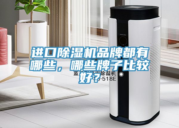 進(jìn)口除濕機(jī)品牌都有哪些，哪些牌子比較好？