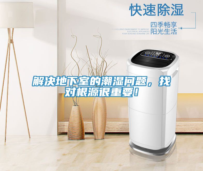 解決地下室的潮濕問題，找對根源很重要！