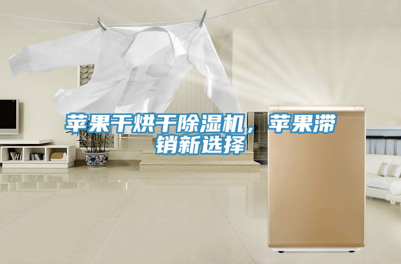 蘋果干烘干除濕機(jī)，蘋果滯銷新選擇
