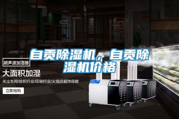 自貢除濕機(jī)，自貢除濕機(jī)價(jià)格