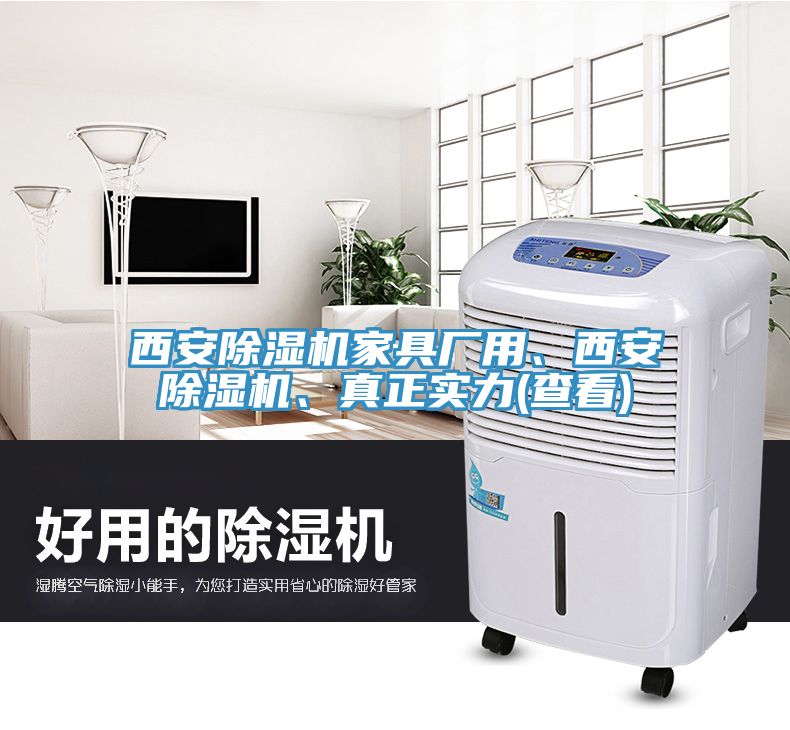 西安除濕機(jī)家具廠用、西安除濕機(jī)、真正實(shí)力(查看)