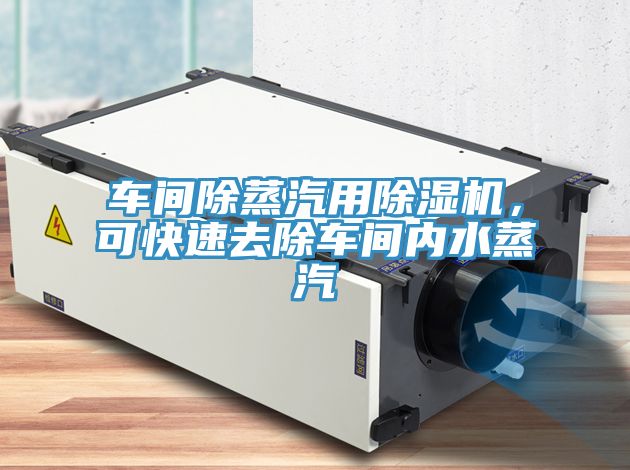 車間除蒸汽用除濕機，可快速去除車間內(nèi)水蒸汽