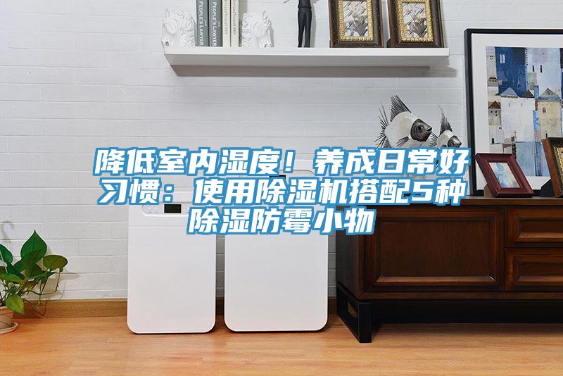 降低室內(nèi)濕度！養(yǎng)成日常好習(xí)慣：使用除濕機(jī)搭配5種除濕防霉小物