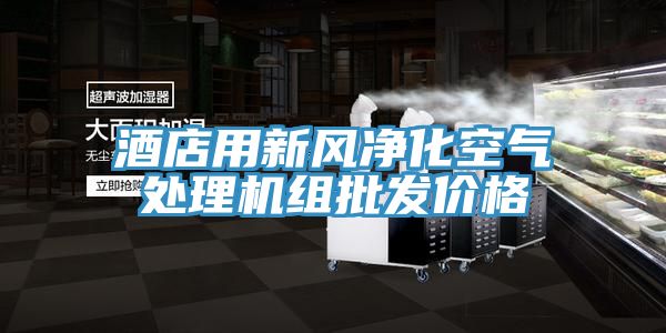 酒店用新風(fēng)凈化空氣處理機(jī)組批發(fā)價格