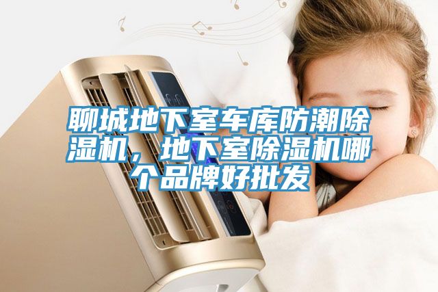 聊城地下室車庫防潮除濕機(jī)，地下室除濕機(jī)哪個(gè)品牌好批發(fā)