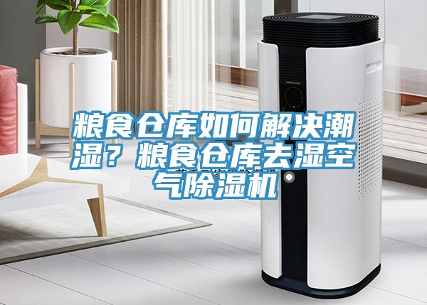 糧食倉(cāng)庫(kù)如何解決潮濕？糧食倉(cāng)庫(kù)去濕空氣除濕機(jī)