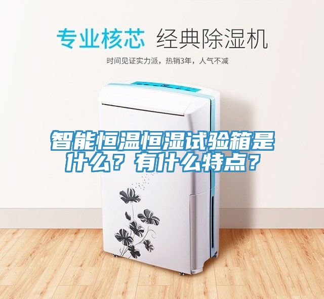 智能恒溫恒濕試驗(yàn)箱是什么？有什么特點(diǎn)？