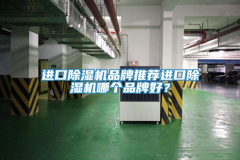 進(jìn)口除濕機(jī)品牌推薦進(jìn)口除濕機(jī)哪個(gè)品牌好？